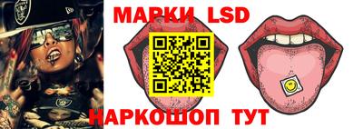 стаф Обнинск