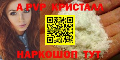 стаф Обнинск