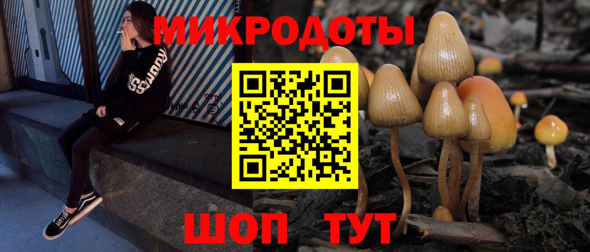Псилоцибиновые грибы Psilocybine cubensis  Галлюциногенные грибы Psilocybe  Удомля  Вход с VPN 